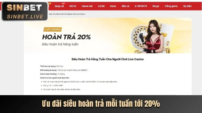 Khám phá các chương trình khuyến mãi độc quyền tại 79king